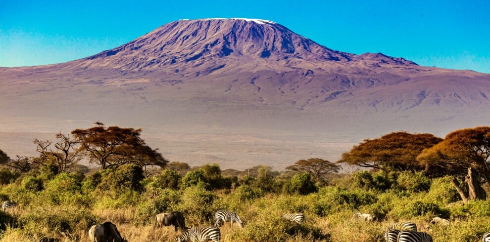 kilimanjaro